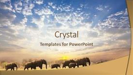  Presentation with asia elephant - Cool new presentation with leadership journey - elephant backdrop and a lemonade colored foreground