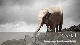  Presentation with media - PPT theme enhanced with leading edge - businessman fighting opponent mixed media background and a  colored foreground