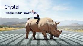  Presentation with media - Audience pleasing slide deck consisting of leading edge - businesswoman riding rhino mixed media backdrop and a  colored foreground