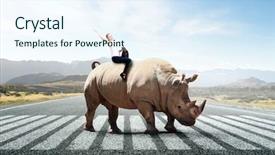  Presentation with media - Amazing theme having leading edge - businesswoman riding rhino mixed media backdrop and a  colored foreground