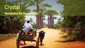  Presentation with dry - Presentation design having leading through baobab alley madagascar background and a tawny brown colored foreground