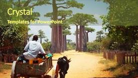  Presentation with dry - Beautiful PPT layouts featuring leading through baobab alley madagascar backdrop and a tawny brown colored foreground