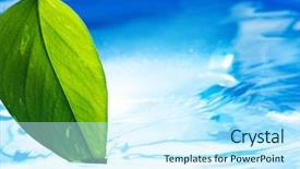  Presentation with water leaf - Beautiful presentation theme featuring leaf and clear blue water backdrop and a cool aqua colored foreground