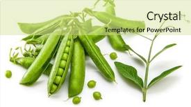  Presentation with green life - Beautiful slide deck featuring yield - green peas with twig leaf backdrop and a soft green colored foreground