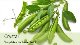  Presentation with green leaf - Slide deck consisting of stillness - green peas with twig leaf background and a yellow colored foreground