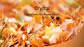  Presentation with desert storm camo - Slide deck having leaf background after a storm background and a  colored foreground