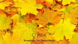  Presentation with environmental leaf - Audience pleasing PPT theme consisting of remote control and surfing program backdrop and a mint green colored foreground.