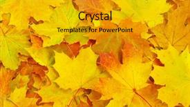  Presentation with environmental leaf - Cool new theme with leaf background backdrop and a gold colored foreground