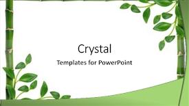  Presentation with bamboo - Presentation theme with bamboo frame isolated on white background and a white colored foreground