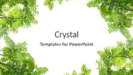  Presentation with frame border - Theme with border tree - green leaves frame on white background and a white colored foreground