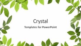 Presentation with frame - Audience pleasing presentation theme consisting of green plant frame backdrop and a white colored foreground