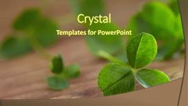  Presentation with clover - Slides having leaf clover on wood background background and a tawny brown colored foreground