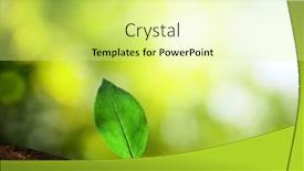  Presentation with deep - 