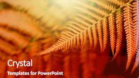  Presentation with nata de coco tropical - PPT theme consisting of leaf in tropical forest plant background and a crimson colored foreground