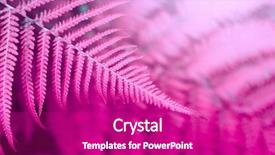  Presentation with nata de coco tropical - Presentation theme having leaf in tropical forest plant background and a purple colored foreground