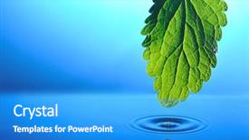  Presentation with green leaf water drops - Slide deck featuring leaf into blue rippled water background and a teal colored foreground