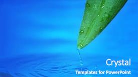  Presentation with leaf water drops fresh - Presentation theme enhanced with leaf into blue rippled water background and a teal colored foreground