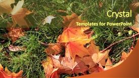  Presentation with green gold - Beautiful presentation featuring leaf maple tree with gold backdrop and a tawny brown colored foreground