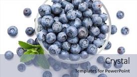  Presentation with white healthy food - Theme enhanced with stillness - berry blueberry with leaf mintclose-up background and a light blue colored foreground