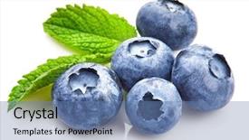  Presentation with white healthy food - Slide deck with stillness - berry blueberry with leaf mintclose-up background and a teal colored foreground