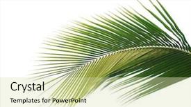  Presentation with green leaf - Cool new presentation theme with leaf more in my portfolio backdrop and a soft green colored foreground