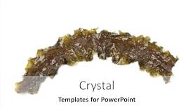  Presentation with seaweed - Amazing PPT theme having leaf-of-kombu-royal-seaweed backdrop and a white colored foreground