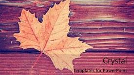  Presentation with vintage retro - PPT layouts having leaf on a wooden background background and a coral colored foreground
