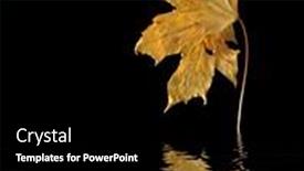  Presentation with water leaf - PPT layouts with leaf-on-black-with-simulated background and a black colored foreground