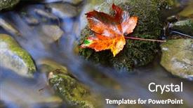  Presentation with water on leaf - Beautiful presentation theme featuring leaf on stone near brook backdrop and a tawny brown colored foreground