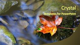  Presentation with stepping stone - Amazing slides having leaf on stone near brook backdrop and a  colored foreground