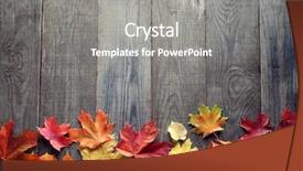  Presentation with autumn - Slide set featuring leaf on wood black background background and a gray colored foreground