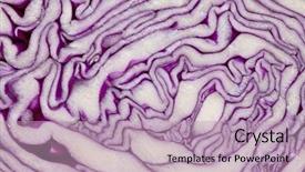  Presentation with patterns - Beautiful PPT layouts featuring leaf patterns in red cabbage backdrop and a  colored foreground