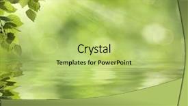  Presentation with water leaf - Cool new PPT theme with leaf reflection - green leaves reflecting backdrop and a yellow colored foreground