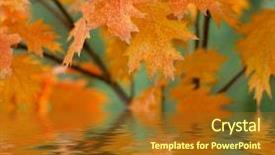  Presentation with water leaf - Presentation theme with leaf reflection - red autumn leaves reflecting background and a  colored foreground