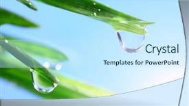  Presentation with crystal for drop of water on w - PPT theme having leaf reflection - water drop shine in sun background and a cool aqua colored foreground