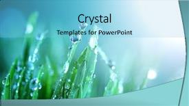  Presentation with drop of water - Colorful PPT theme enhanced with leaf reflection - water drop shine in sun backdrop and a light blue colored foreground