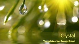  Presentation with water drops - Cool new presentation theme with leaf reflection - water drops reflected backdrop and a tawny brown colored foreground