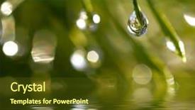  Presentation with crystal for drop of water on w - Amazing slides having leaf reflection - water drops reflected backdrop and a  colored foreground