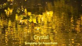  Presentation with green maple leaves - Colorful PPT theme enhanced with leaf reflection - yellow and green maple leaves backdrop and a  colored foreground