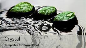  Presentation with water leaf - Presentation featuring leaf reflection - zen stones and leaves background and a  colored foreground