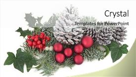  Presentation with christmas holly - Colorful PPT theme enhanced with leaf sprigs with pine cones backdrop and a white colored foreground