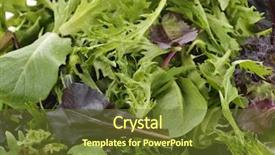  Presentation with salad - Audience pleasing presentation design consisting of magnificent view morning scene backdrop and a tawny brown colored foreground