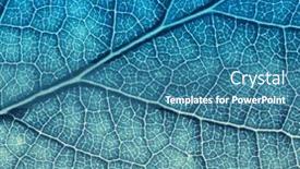  Presentation with veins - PPT layouts having leaf-texture-macro-closeup-leaves background and a teal colored foreground