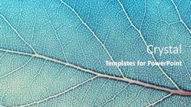  Presentation with veins - Audience pleasing slide set consisting of leaf-texture-macro-closeup-leaves backdrop and a teal colored foreground