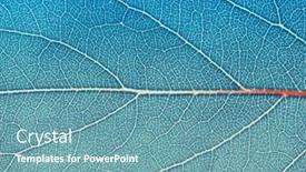  Presentation with veins - Audience pleasing slide deck consisting of leaf-texture-macro-closeup-leaves backdrop and a teal colored foreground