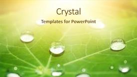  Presentation with green leaf water drops - Presentation featuring leaf texture with water drops background and a cream colored foreground