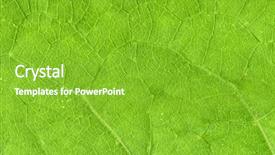  Presentation with veins - PPT theme consisting of leaf veins close up high resolution natural as it is background and a shamrock green colored foreground