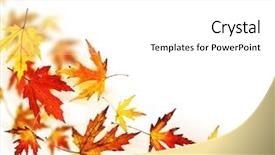  Presentation with autumn leaves - Theme with fall border - autumn leaves over white background and a white colored foreground