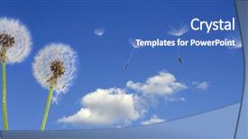  Presentation with law blue sky scales - PPT theme consisting of seeds flying in the blue background and a ocean colored foreground