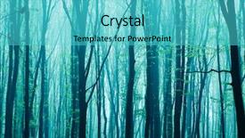  Presentation with foggy forest - Colorful presentation theme enhanced with sunny morning in summer forest backdrop and a cyan colored foreground